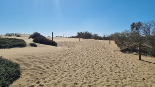 2023-GC--Mapalomas dunas-S123-149.jpg